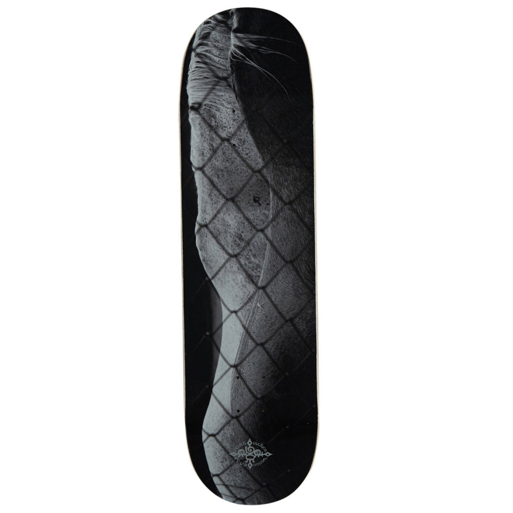 Passport D.G Series Steed Skateboard Deck - 8.50"