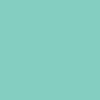 Triple Eight Deep Cover Helmet - Mint Matte
