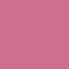 CCS Silver 97 Star Web Belt - Pink
