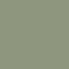 Polar Fade Frank Hoodie - Army Green